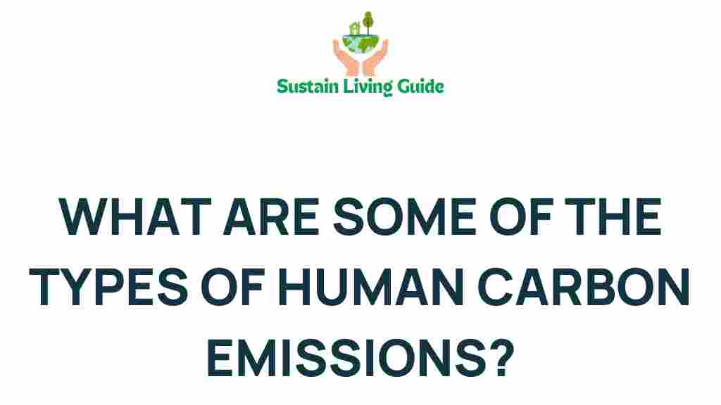 carbon-emissions-sources
