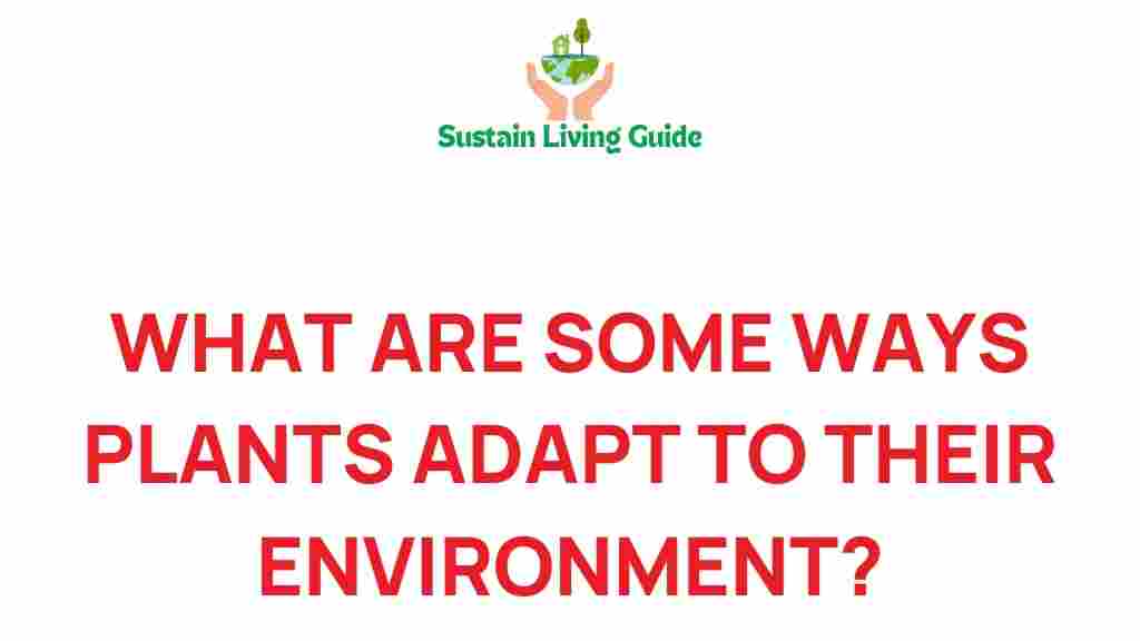 plant-adaptation-to-environment