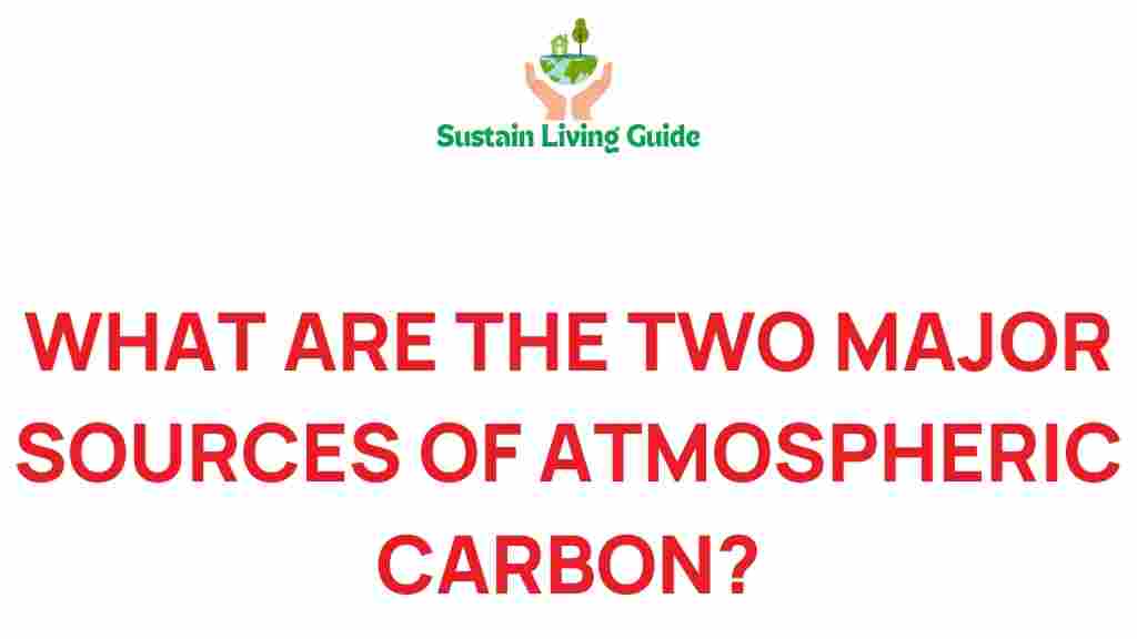 atmospheric-carbon-sources