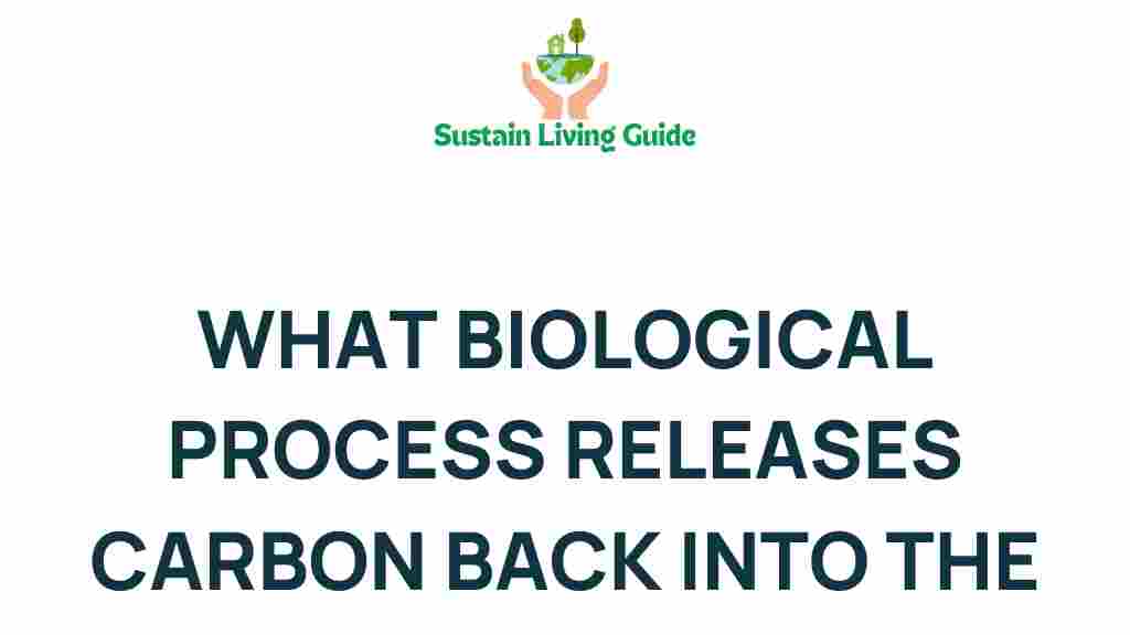 carbon-release-biological-process