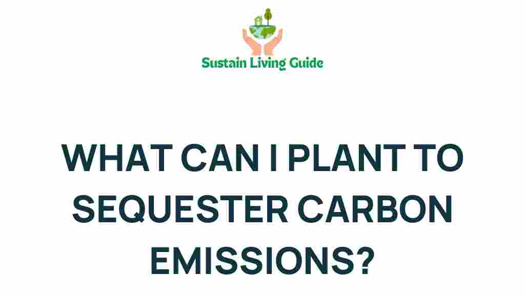 carbon-sequestering-plants