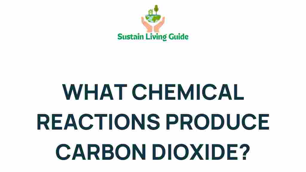 carbon-dioxide-chemical-reactions