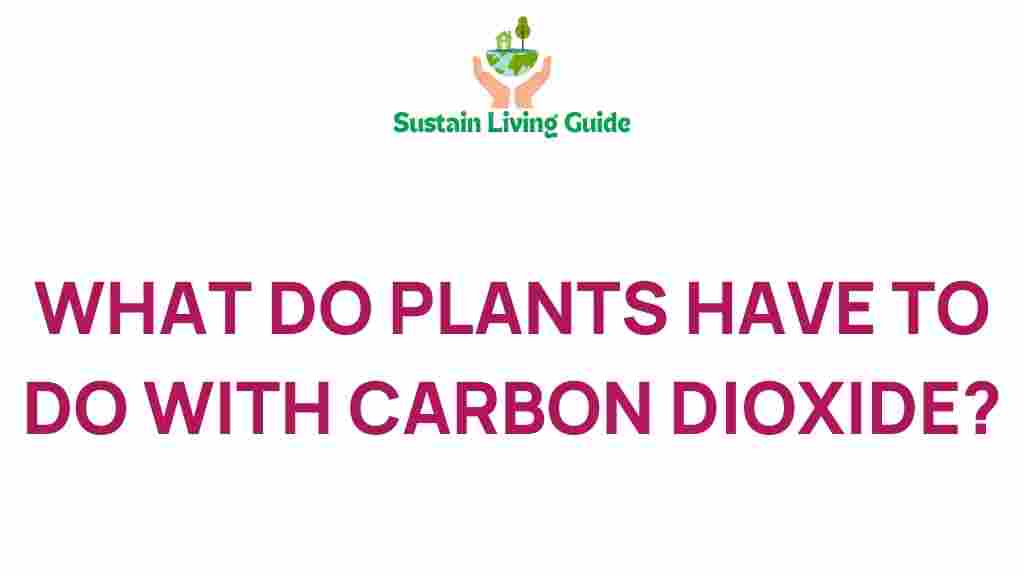 plants-carbon-dioxide-connection