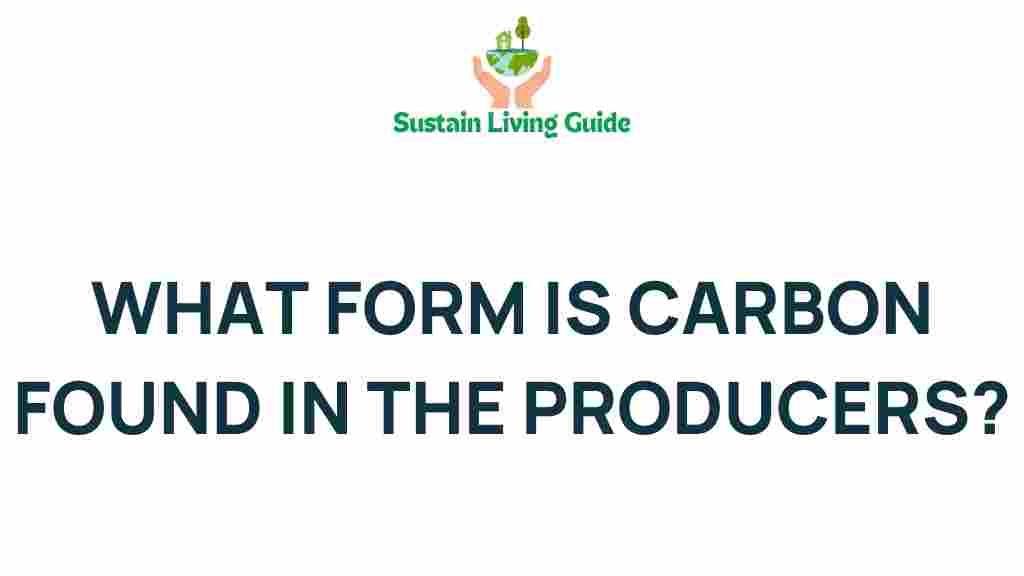 carbon-forms-found-in-producers