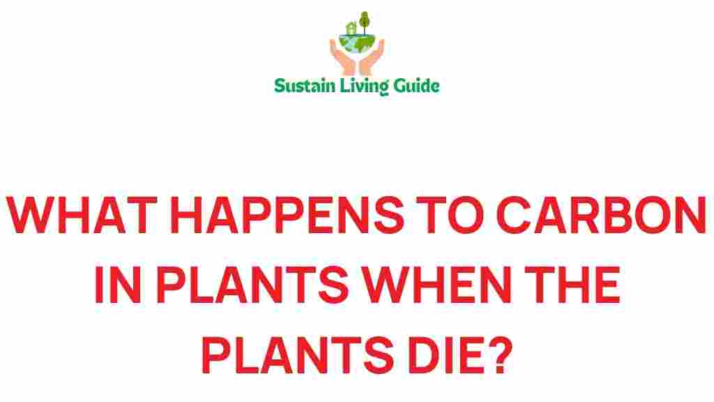carbon-mystery-plants-die