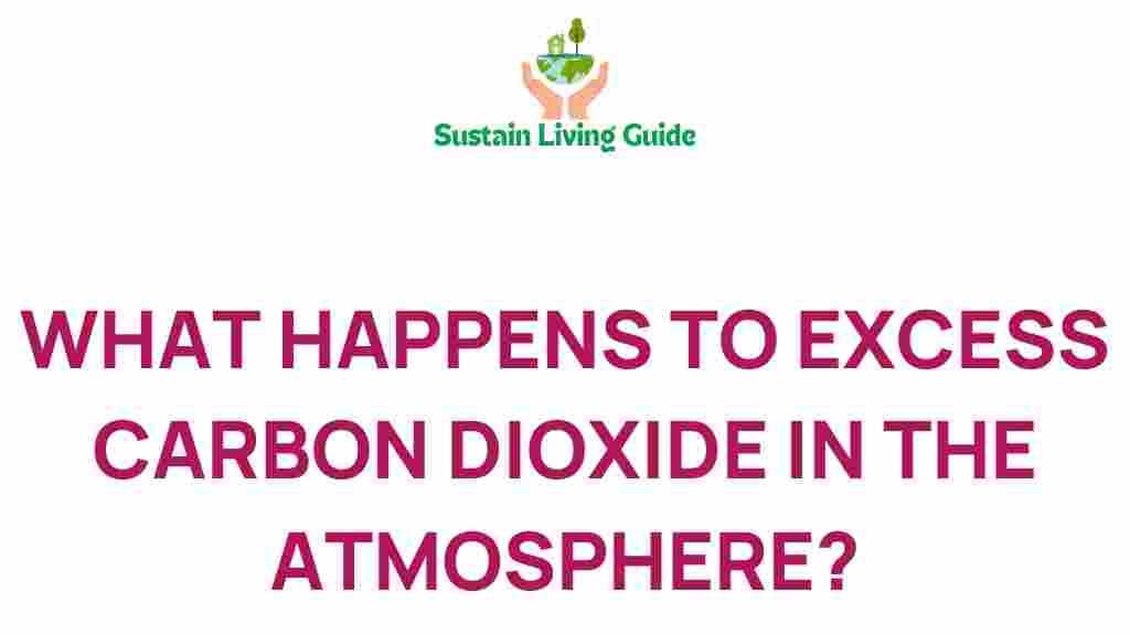 excess-carbon-dioxide-atmosphere
