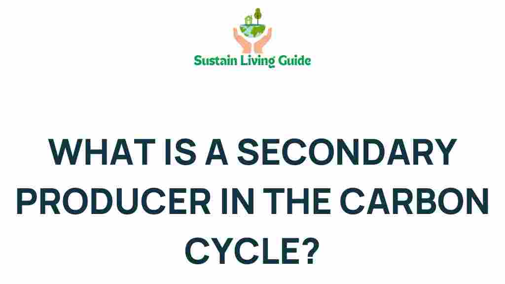 secondary-producers-carbon-cycle