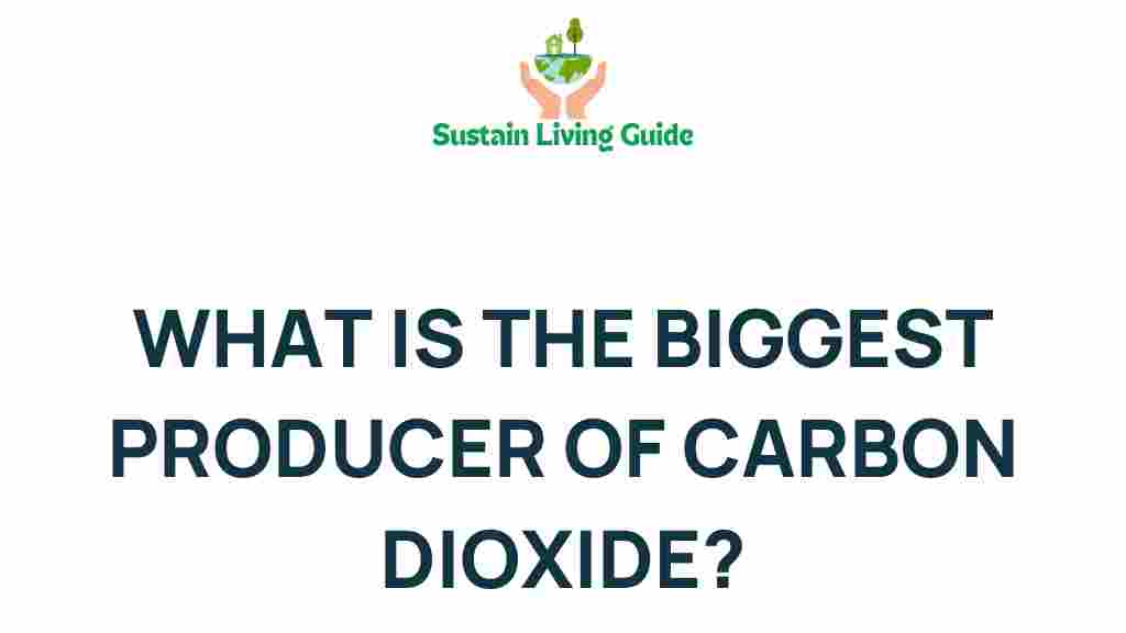 carbon-dioxide-biggest-producer
