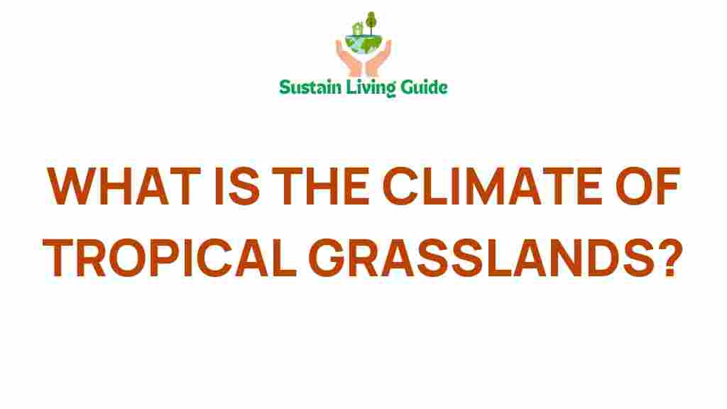 tropical-grasslands-climate