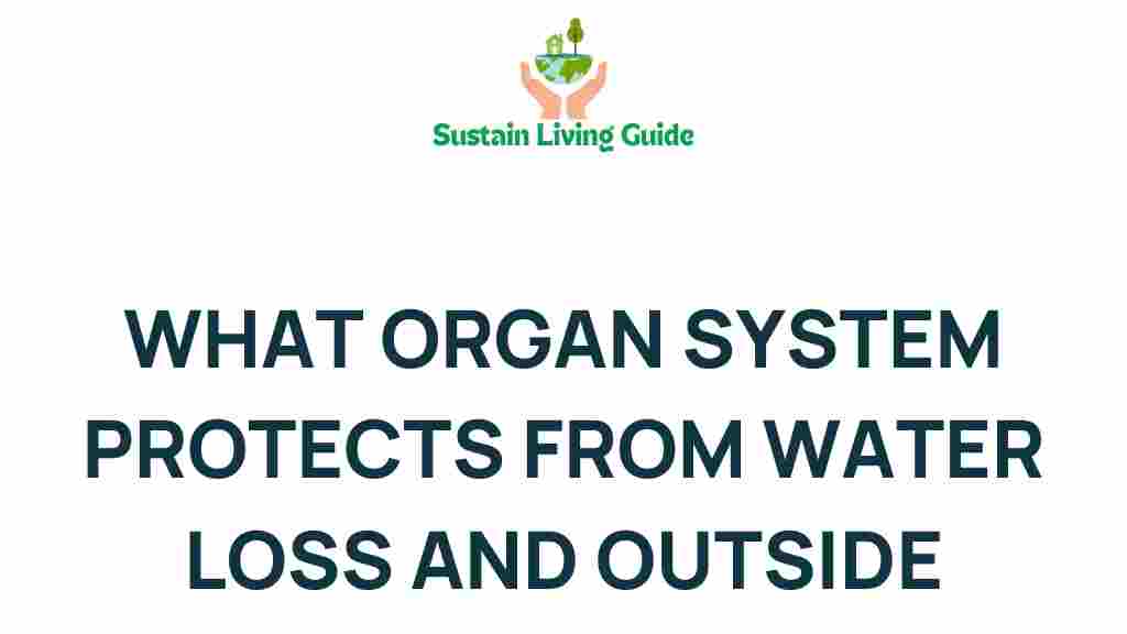 discover-organ-system-water-loss