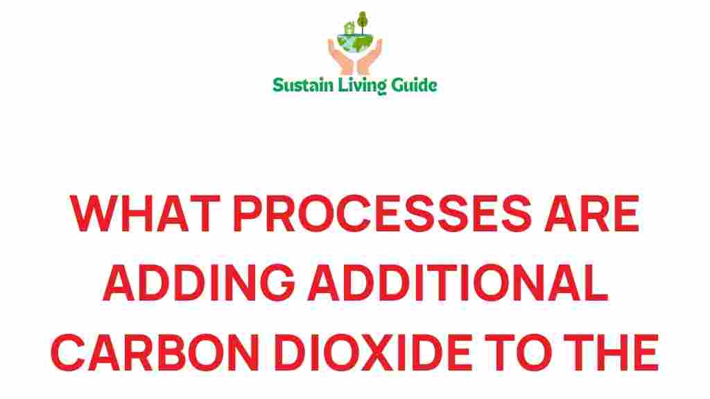 carbon-dioxide-contributing-processes