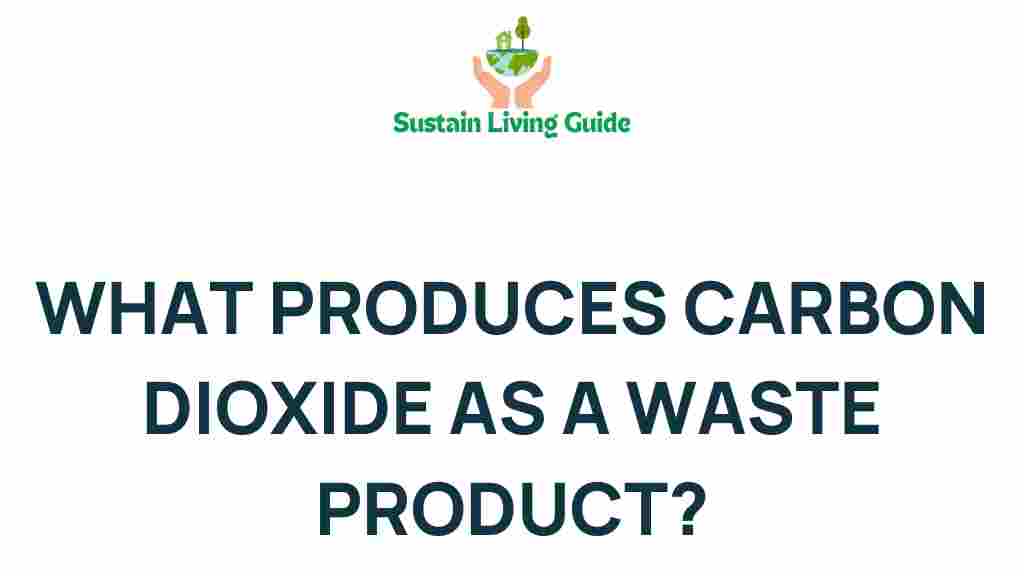carbon-dioxide-waste-products
