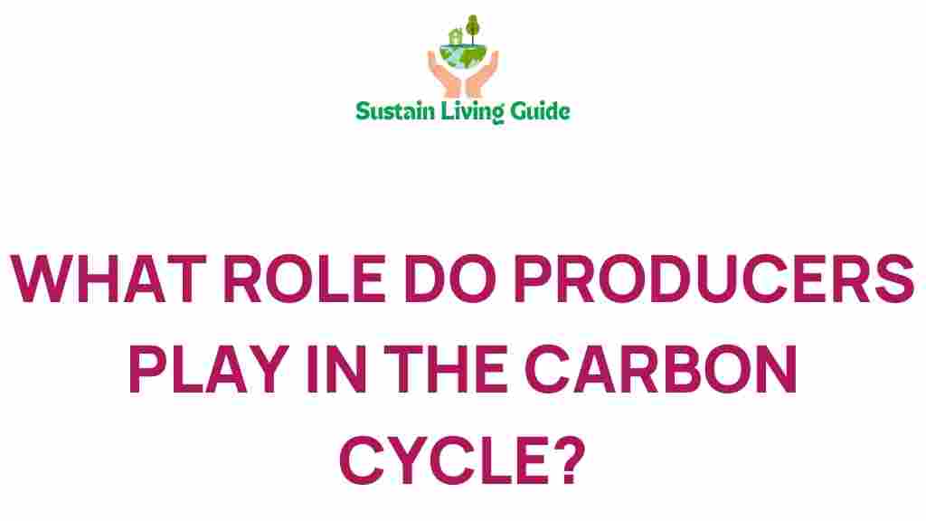 carbon-cycle-producers