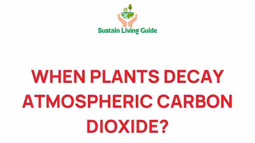 decaying-plants-atmospheric-carbon-dioxide