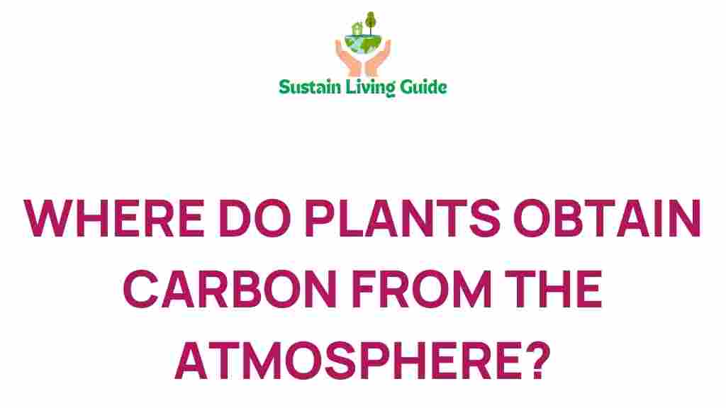 carbon-capture-plants