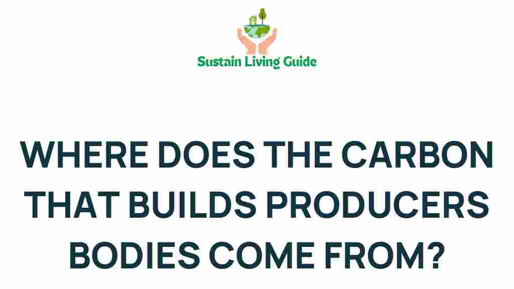 carbon-sources-in-producers