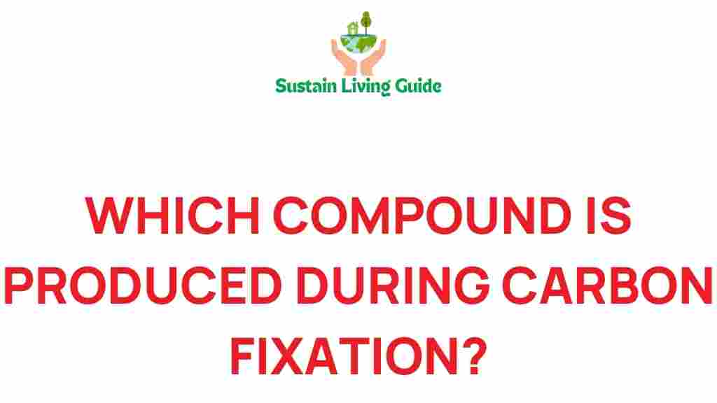 carbon-fixation-compound