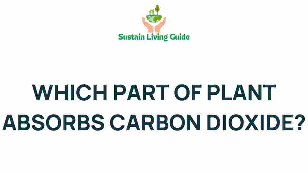carbon-dioxide-absorption-plant
