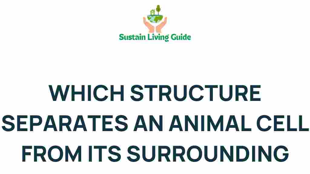 animal-cell-boundary