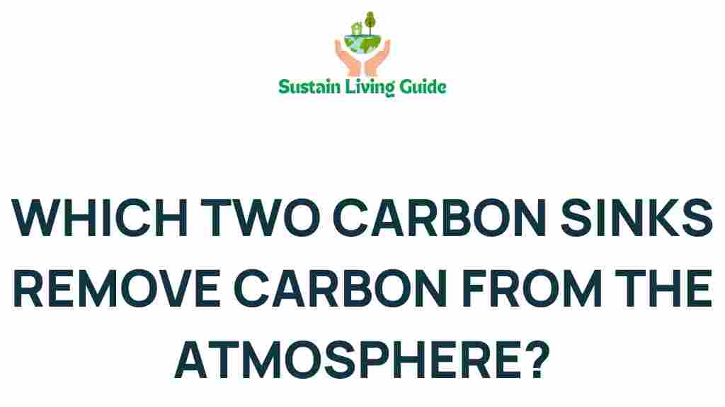 carbon-sinks-combat-climate-change