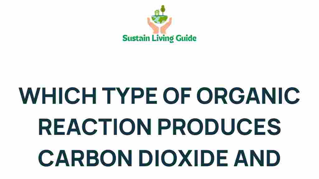 organic-reaction-carbon-dioxide-water