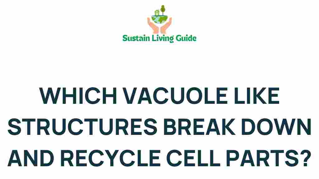 vacuoles-recycle-cell-parts