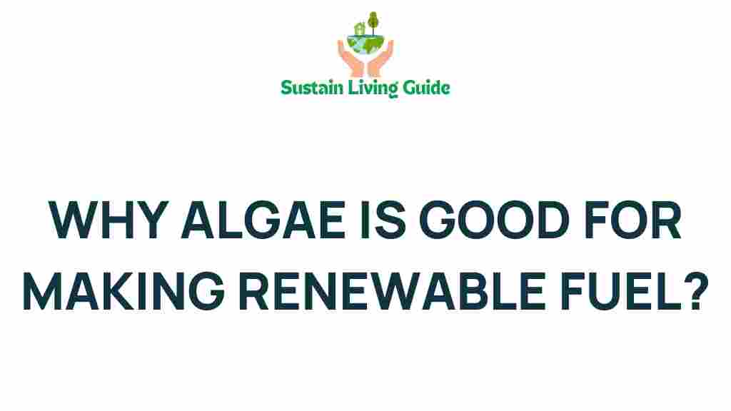 algae-renewable-fuel