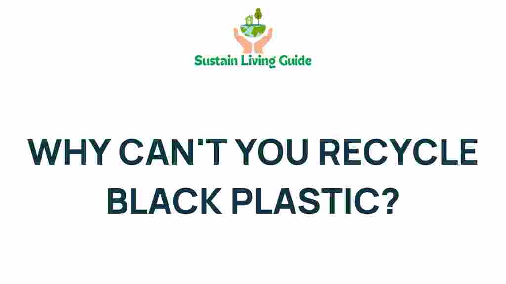 black-plastic-recycling-mystery