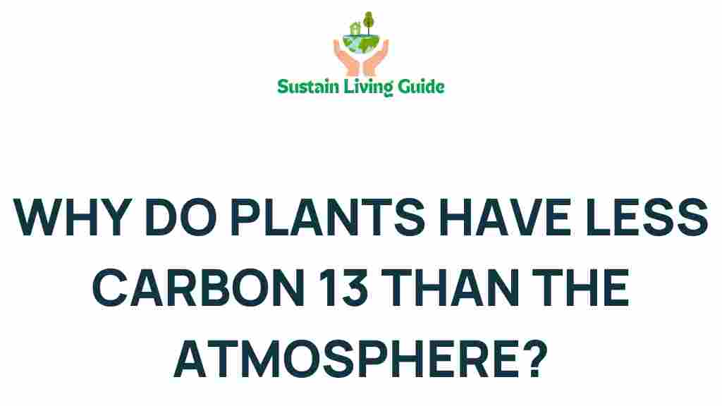 plants-carbon-13-atmosphere