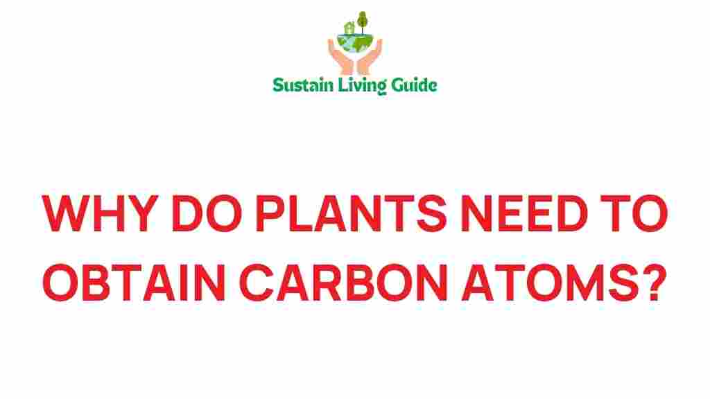 plants-need-carbon-atoms