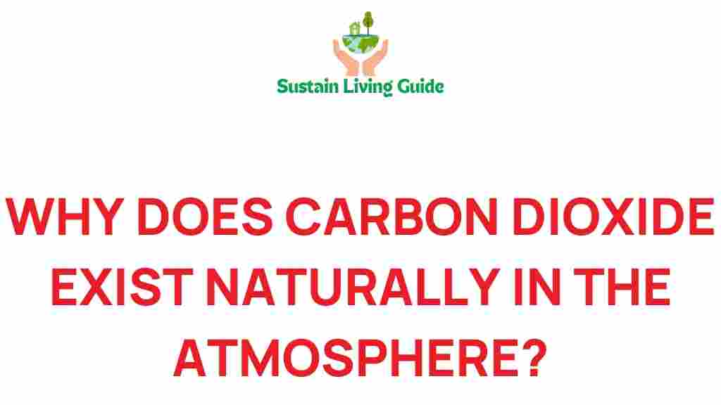 carbon-dioxide-role-atmosphere