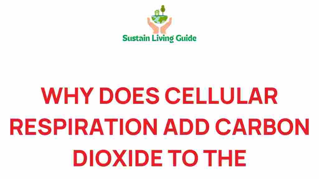 cellular-respiration-carbon-dioxide-emissions