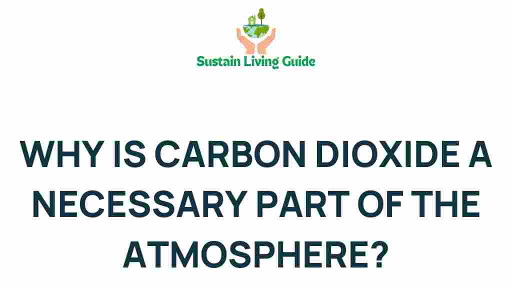 carbon-dioxide-role-atmosphere