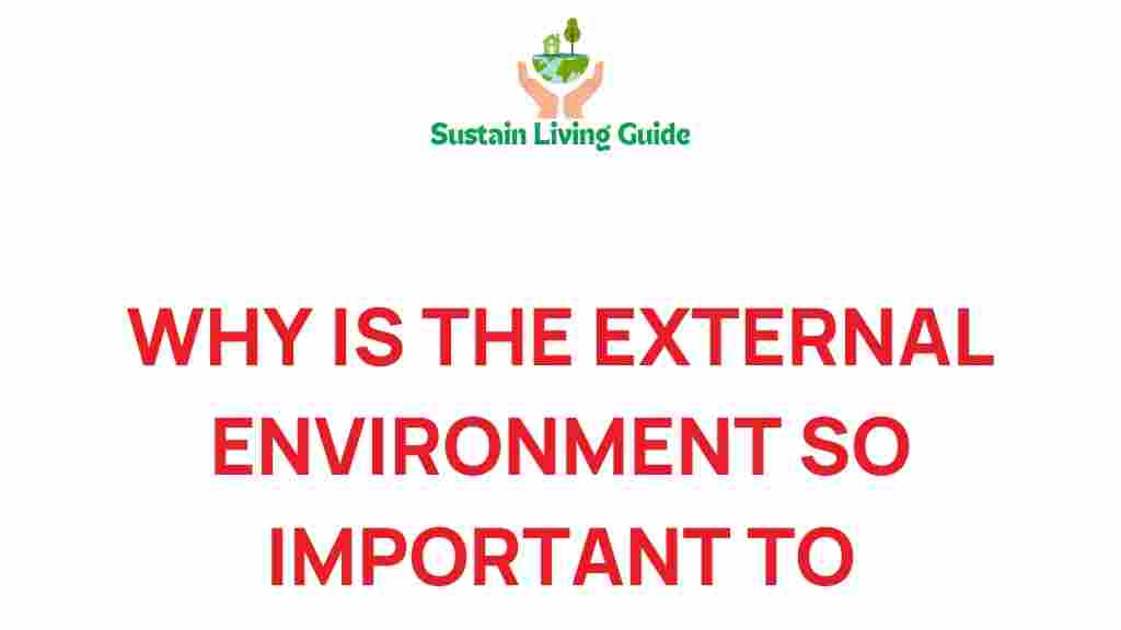 external-environment-healthcare-success